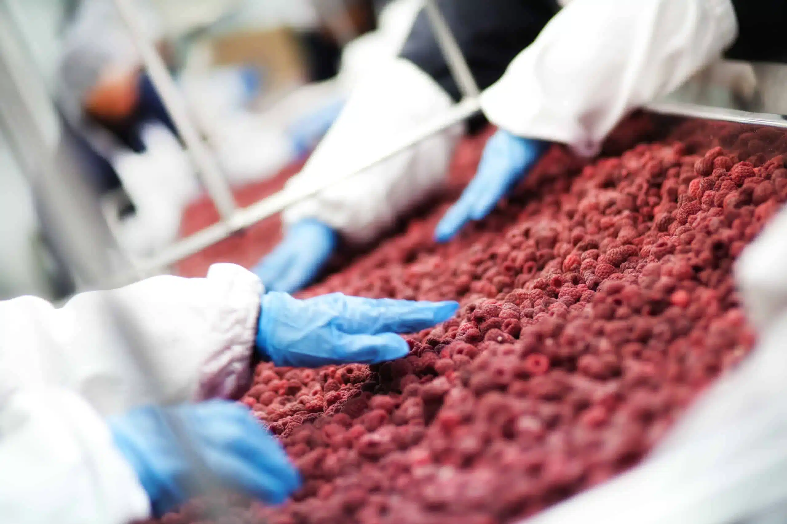 Regione Lombardia: Addetto all'industria Alimentare - Aggiornamento - 6 ore - Online